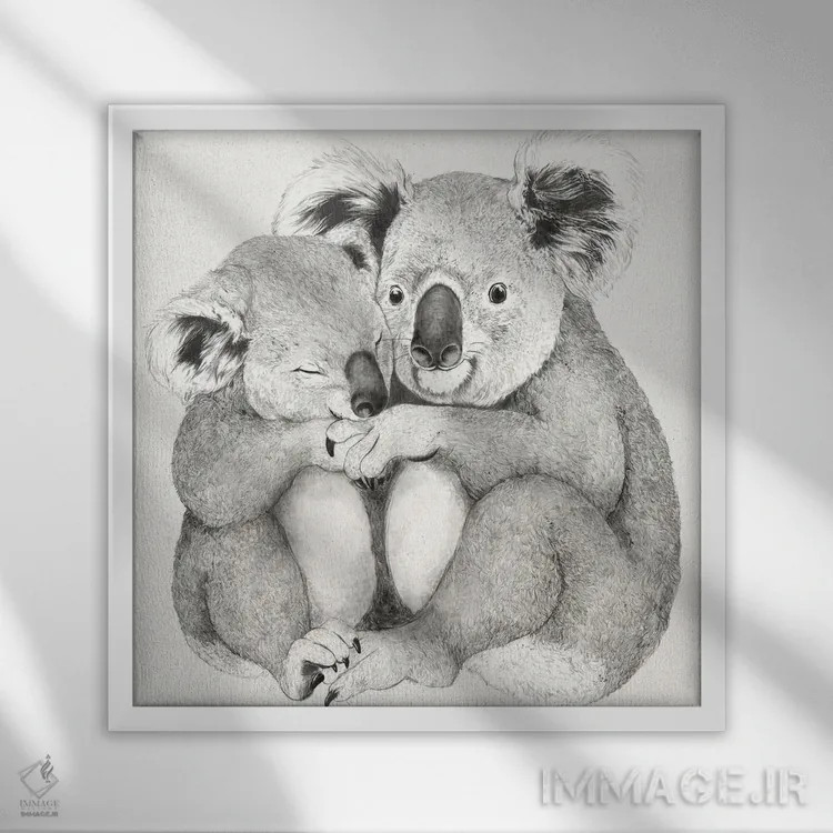 تابلو کوالاها اثر لورا گریوز - نمای قابدار سفید