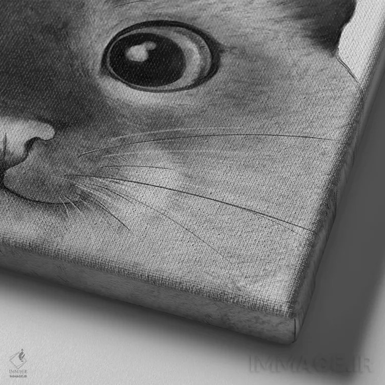 تابلو گربهٔ سیامی نگاه یواشکی اثر لورا گریوز - نمای نزدیک بافت بوم