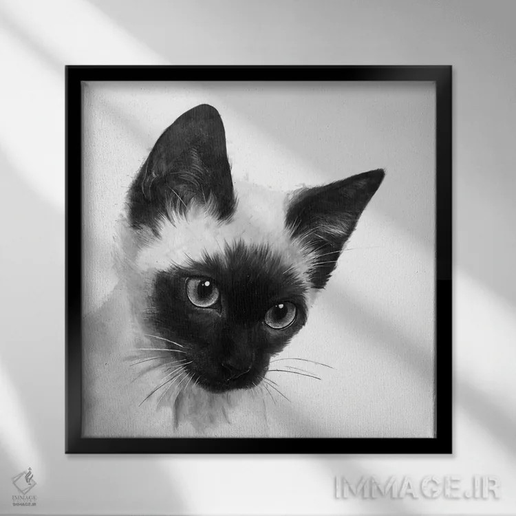 تابلو سیامی (نژاد گربه) اثر لورا گریوز - نمای قابدار مشکی