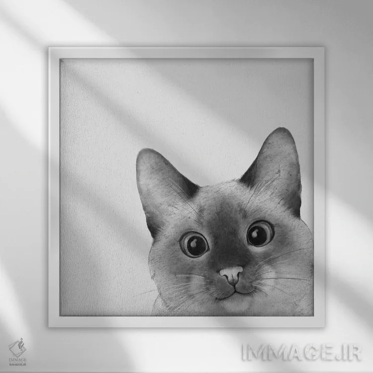 تابلو گربهٔ سیامی نگاه یواشکی اثر لورا گریوز - نمای قابدار سفید