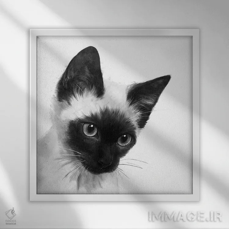 تابلو سیامی (نژاد گربه) اثر لورا گریوز - نمای قابدار سفید