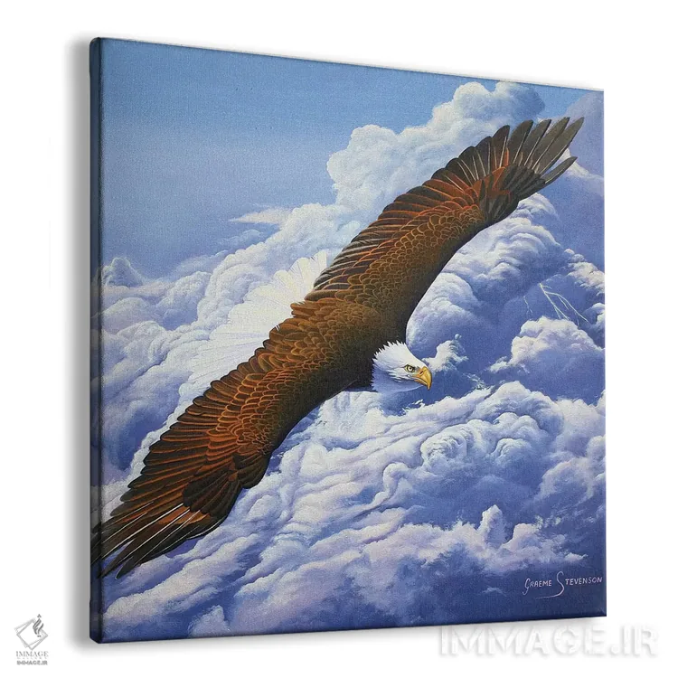 تابلو بالا بردهشده به آسمان اثر گرائیم استیونسون - نمای پرسپکتیو محصول