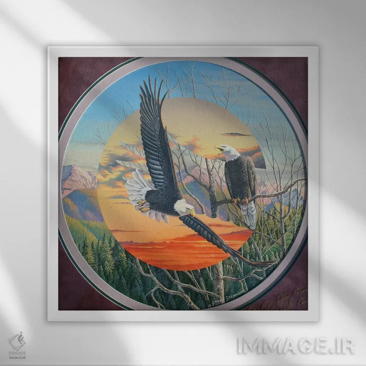 تابلو عقابها اثر گرائیم استیونسون - نمای قابدار سفید