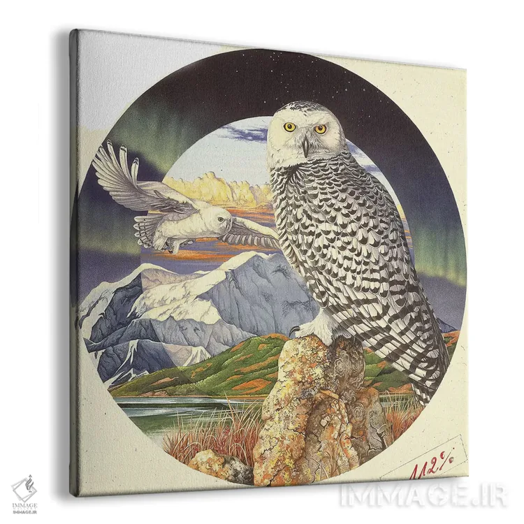 تابلو شفق شمالی اثر گرائیم استیونسون - نمای پرسپکتیو محصول