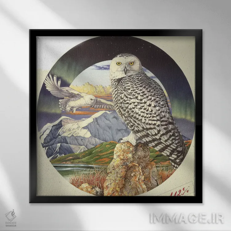 تابلو شفق شمالی اثر گرائیم استیونسون - نمای قابدار مشکی