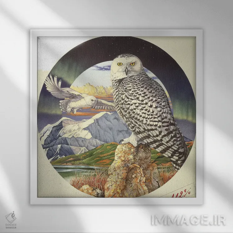 تابلو شفق شمالی اثر گرائیم استیونسون - نمای قابدار سفید