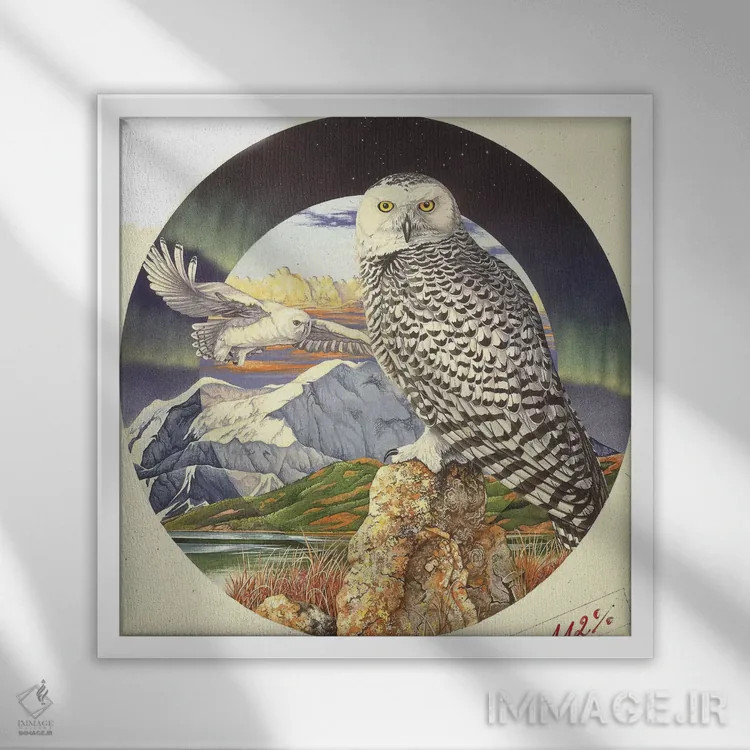 تابلو شفق شمالی اثر گرائیم استیونسون - نمای قابدار سفید