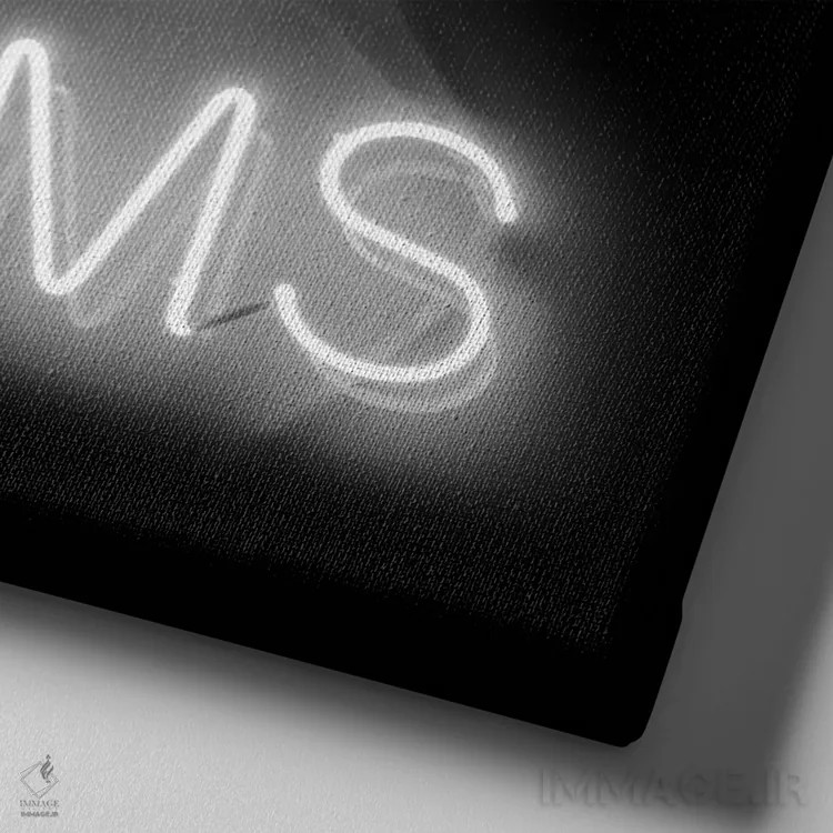 تابلو نئون دنبال رؤیاهایت برو سفید روی مشکی اثر هیلی کار - نمای نزدیک بافت بوم