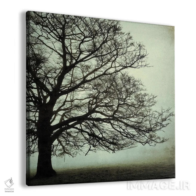 تابلو بلوط کهن ۱ اثر استیفن هاجتس - نمای پرسپکتیو محصول