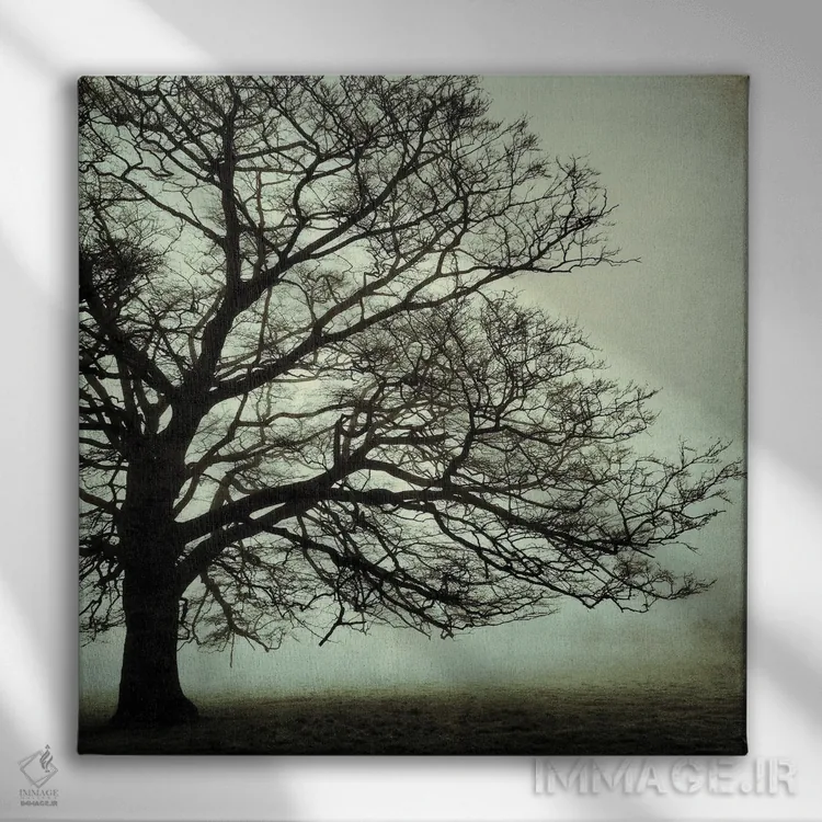 تابلو بلوط کهن ۱ اثر استیفن هاجتس - نمای روبهرو روی دیوار