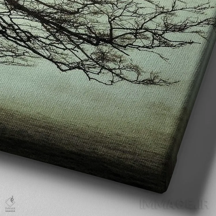 تابلو بلوط کهن ۱ اثر استیفن هاجتس - نمای نزدیک بافت بوم