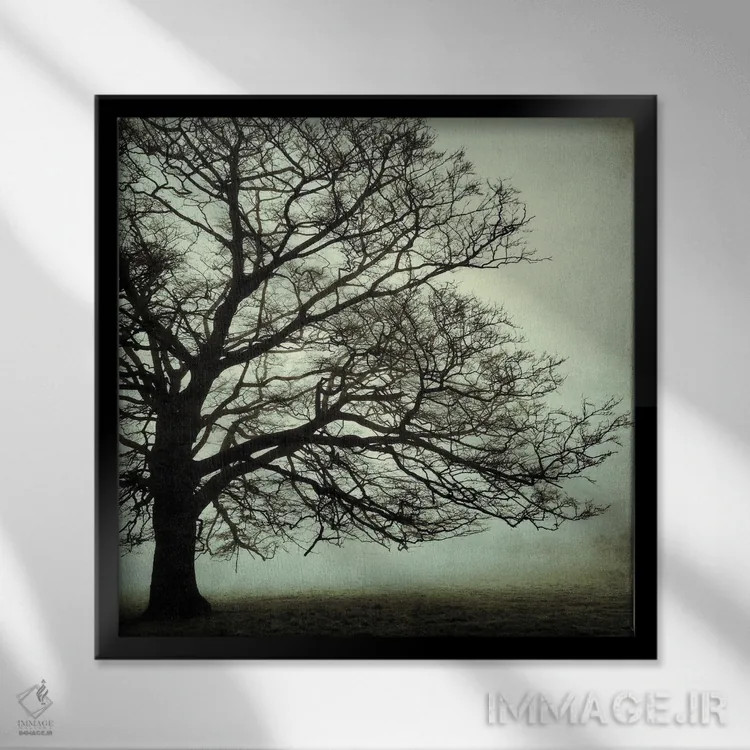 تابلو بلوط کهن ۱ اثر استیفن هاجتس - نمای قابدار مشکی