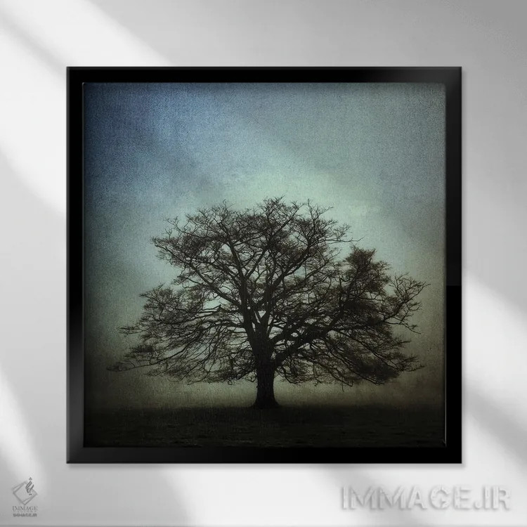 تابلو بلوط کهن ۲ اثر استیفن هاجتس - نمای قابدار مشکی