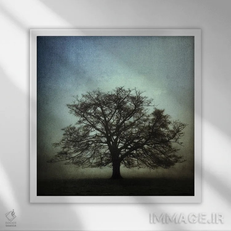 تابلو بلوط کهن ۲ اثر استیفن هاجتس - نمای قابدار سفید