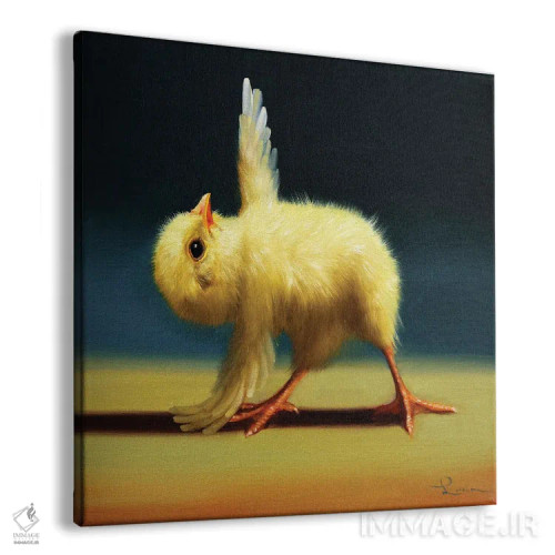 تابلو حالت هرم (جوجه یوگاکار) اثر لوسیا هفرنان - نمای پرسپکتیو محصول