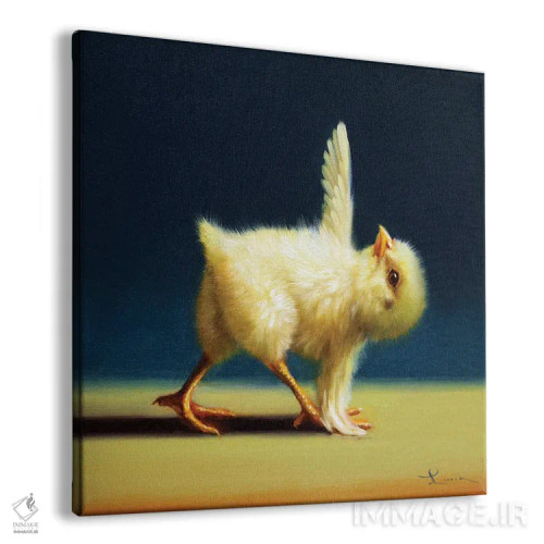 تابلو مثلث چرخیده (جوجه یوگاکار) اثر لوسیا هفرنان - نمای پرسپکتیو محصول