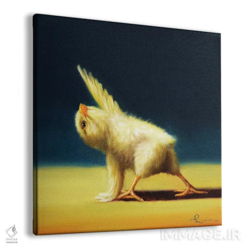 تابلو زاویه جانبی چرخیده (جوجه یوگاکار) اثر لوسیا هفرنان - نمای پرسپکتیو محصول