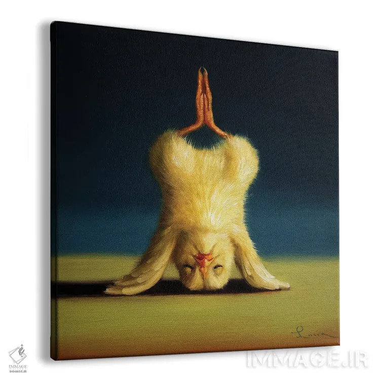 تابلو ایستادن روی سر به شکل نیلوفر (جوجه یوگاکار) اثر لوسیا هفرنان - نمای پرسپکتیو محصول