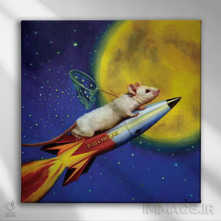 تابلو گیرنده رویا اثر لوسیا هفرنان - نمای روبهرو روی دیوار