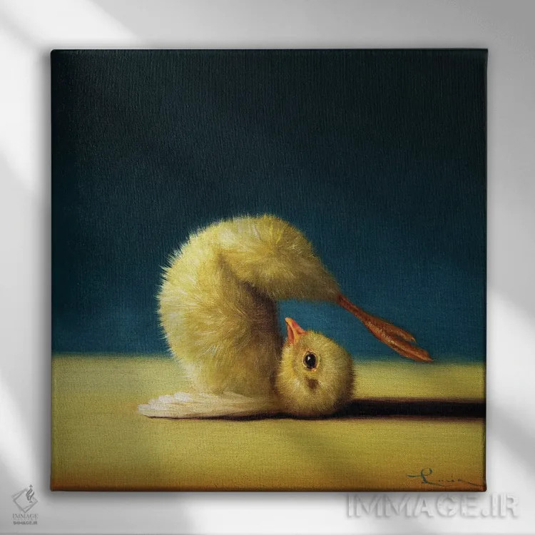 تابلو حالت گاوآهن (جوجه یوگاکار) اثر لوسیا هفرنان - نمای روبهرو روی دیوار