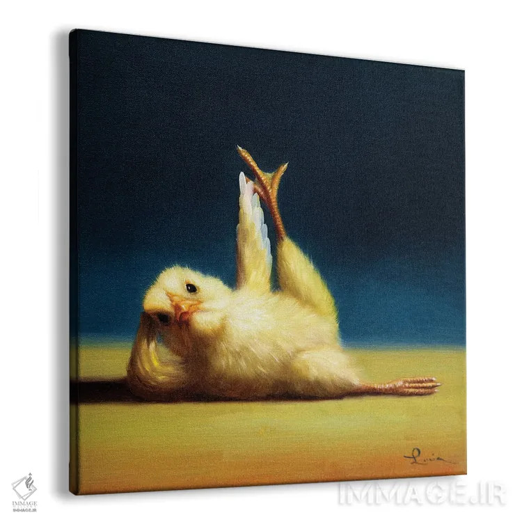 تابلو بالا بردن پا از پهلو (جوجه یوگاکار) اثر لوسیا هفرنان - نمای پرسپکتیو محصول