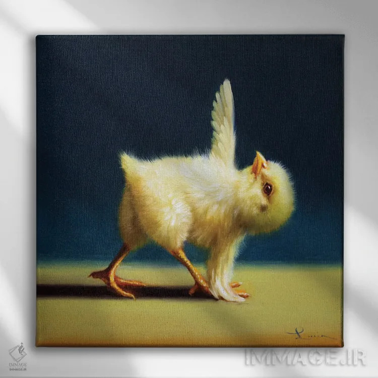 تابلو مثلث چرخیده (جوجه یوگاکار) اثر لوسیا هفرنان - نمای روبهرو روی دیوار