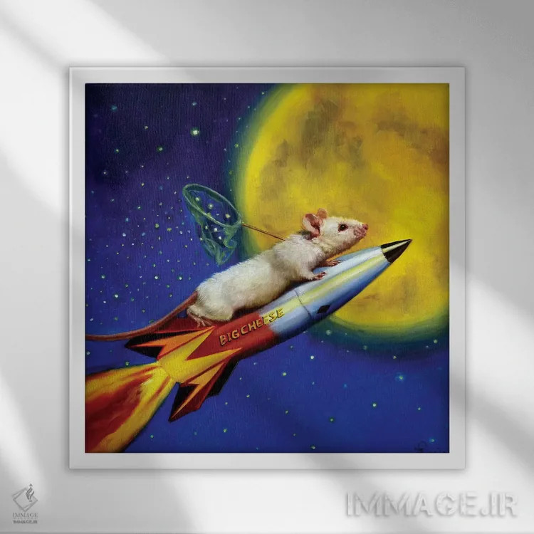 تابلو گیرنده رویا اثر لوسیا هفرنان - نمای قابدار سفید