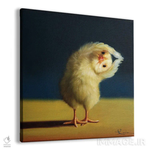 تابلو نیمه ماه (جوجه یوگاکار) اثر لوسیا هفرنان - نمای پرسپکتیو محصول