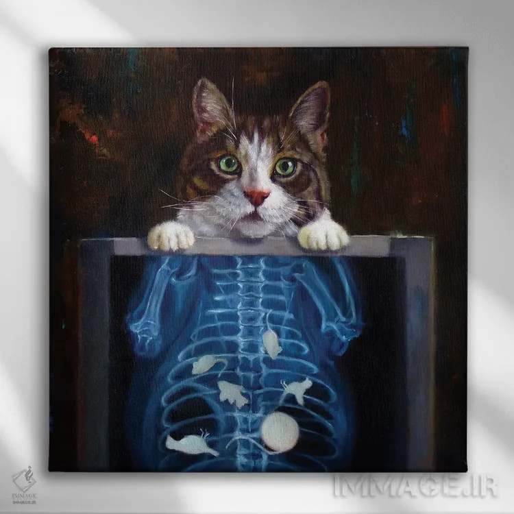تابلو سیتیاسکن گربه اثر لوسیا هفرنان - نمای روبهرو روی دیوار