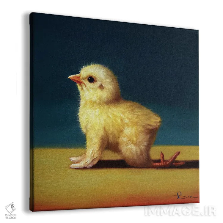 تابلو گاو (جوجه یوگاکار) اثر لوسیا هفرنان - نمای پرسپکتیو محصول