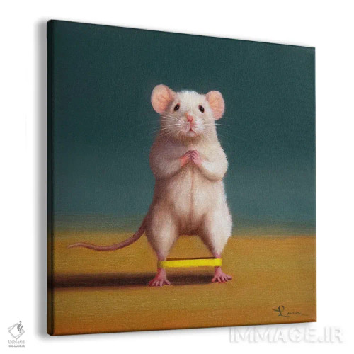 تابلو راه رفتن اردکی (موش باشگاه) اثر لوسیا هفرنان - نمای پرسپکتیو محصول