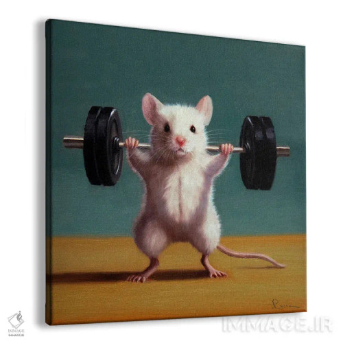 تابلو اسکوات پشت (موش باشگاه) اثر لوسیا هفرنان - نمای پرسپکتیو محصول