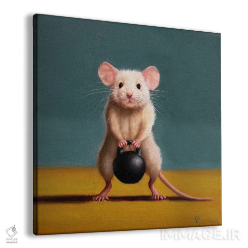 تابلو اسکوات جلو با کتلبل (موش باشگاه) اثر لوسیا هفرنان - نمای پرسپکتیو محصول