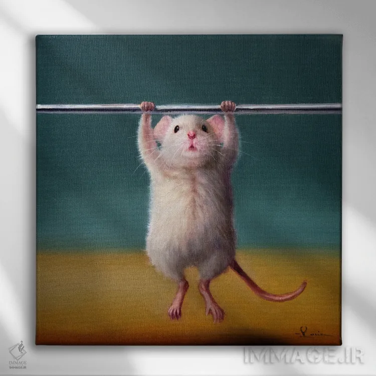 تابلو بارفیکس (موش باشگاه) اثر لوسیا هفرنان - نمای روبهرو روی دیوار