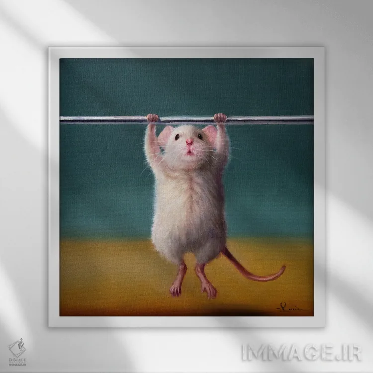 تابلو بارفیکس (موش باشگاه) اثر لوسیا هفرنان - نمای قابدار سفید