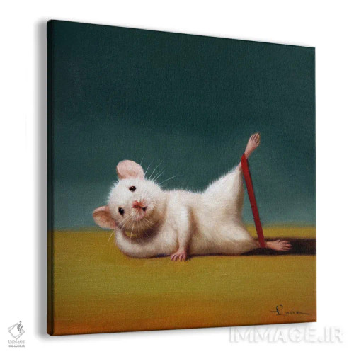 تابلو بالا بردن پا از پهلو (موش باشگاه) اثر لوسیا هفرنان - نمای پرسپکتیو محصول