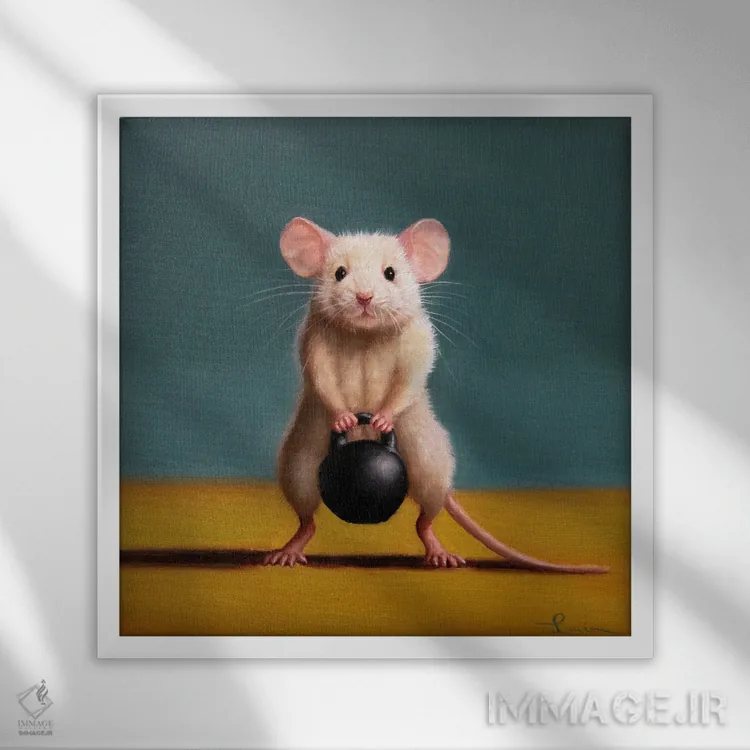 تابلو اسکوات جلو با کتلبل (موش باشگاه) اثر لوسیا هفرنان - نمای قابدار سفید