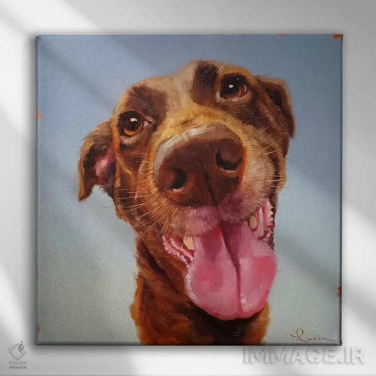 تابلو دماغت را دنبال کن پنج اثر لوسیا هفرنان - نمای روبهرو روی دیوار