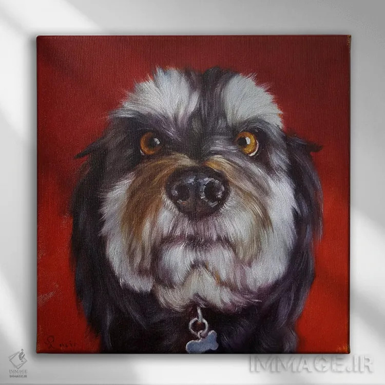 تابلو دماغت را دنبال کن یازده اثر لوسیا هفرنان - نمای روبهرو روی دیوار