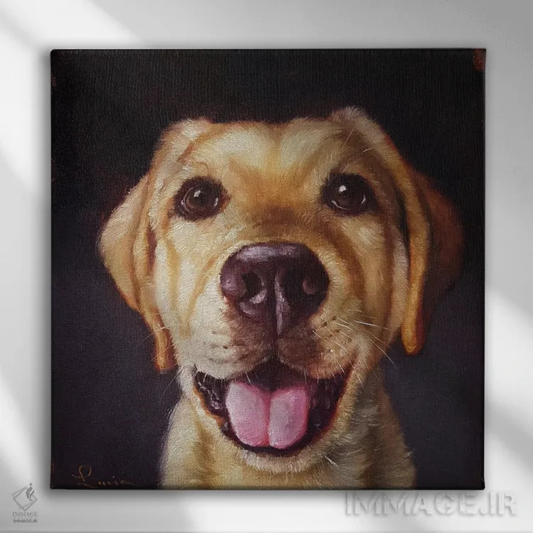 تابلو دماغت را دنبال کن سیزده اثر لوسیا هفرنان - نمای روبهرو روی دیوار