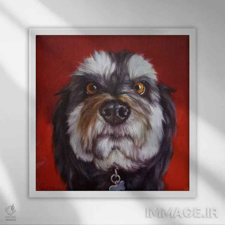 تابلو دماغت را دنبال کن یازده اثر لوسیا هفرنان - نمای قابدار سفید