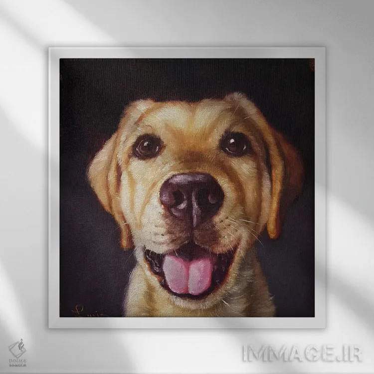 تابلو دماغت را دنبال کن سیزده اثر لوسیا هفرنان - نمای قابدار سفید