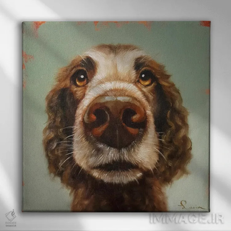 تابلو دماغت را دنبال کن چهارده اثر لوسیا هفرنان - نمای روبهرو روی دیوار