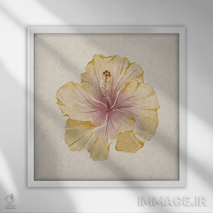 تابلو گل بامیه اثر هلینا اکنم - نمای قابدار سفید