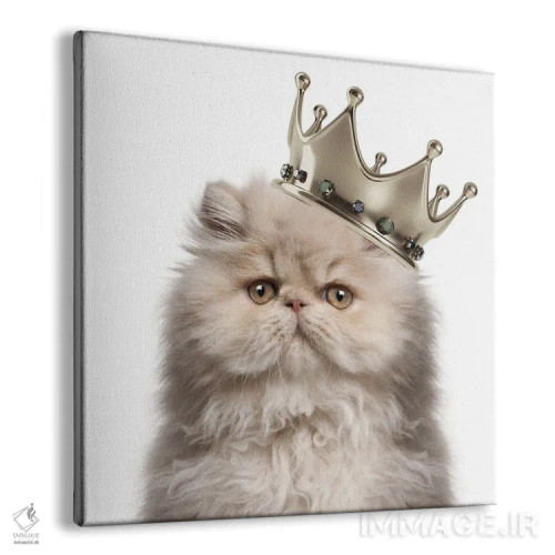 تابلو ملکه گربه ایرانی اثر هدر گری - نمای پرسپکتیو محصول