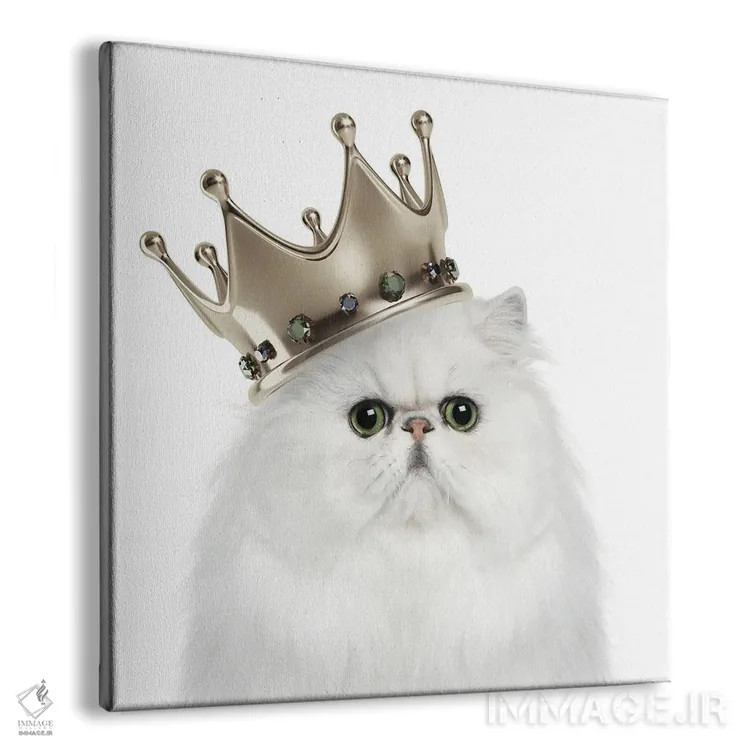 تابلو ملکه گربهای اثر هدر گری - نمای پرسپکتیو محصول