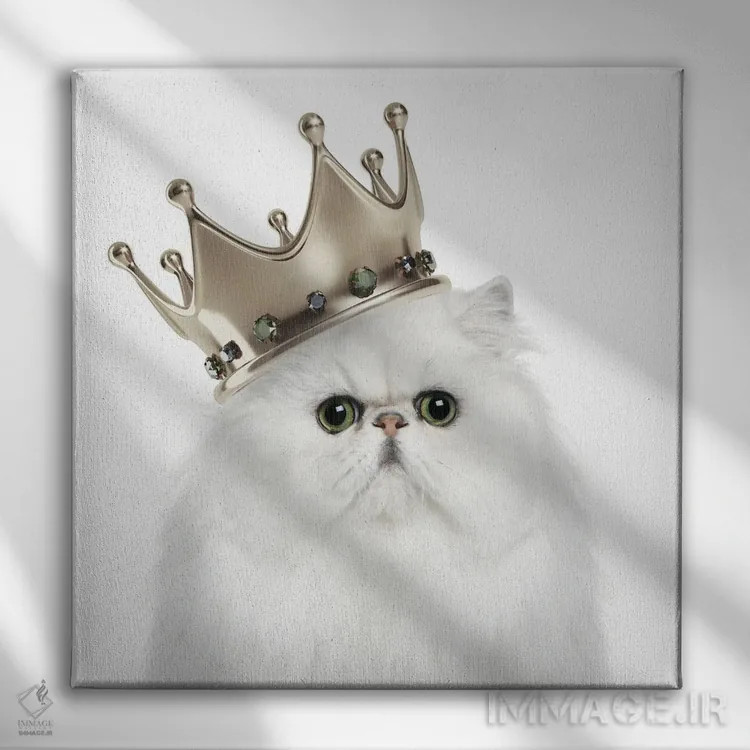 تابلو ملکه گربهای اثر هدر گری - نمای روبهرو روی دیوار