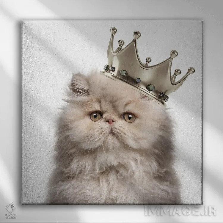 تابلو ملکه گربه ایرانی اثر هدر گری - نمای روبهرو روی دیوار