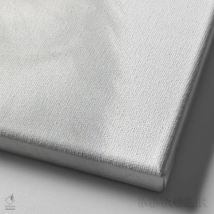 تابلو ملکه گربهای اثر هدر گری - نمای نزدیک بافت بوم