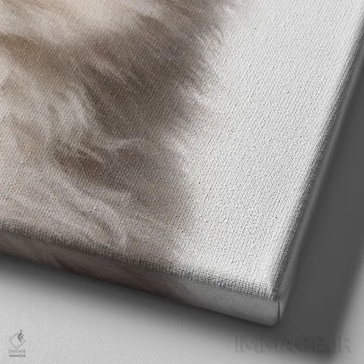 تابلو ملکه گربه ایرانی اثر هدر گری - نمای نزدیک بافت بوم